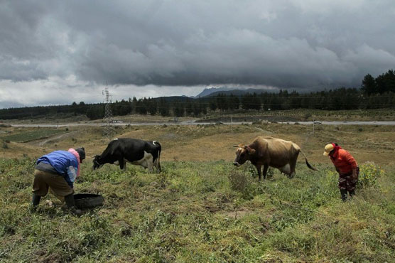 Ecuador villages evacuated as Cotopaxi volcano rumbles to life