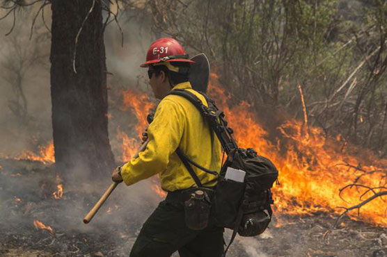Nearly 30,000 firefighters battling western US blazes 