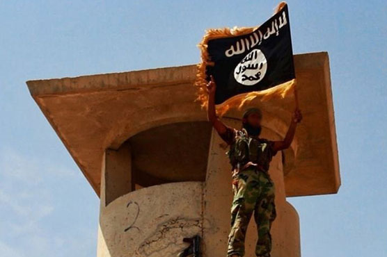 IS beheads elderly ex-antiquities chief in Syria's Palmyra