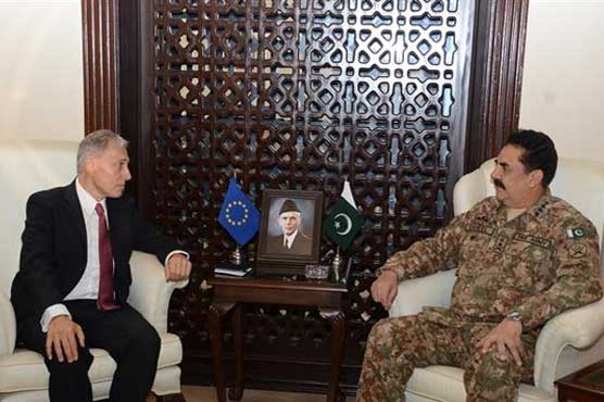 EU special representative calls on Army Chief
