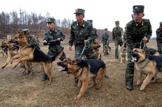 UN chief urges North, South Korea to halt escalating tensions 