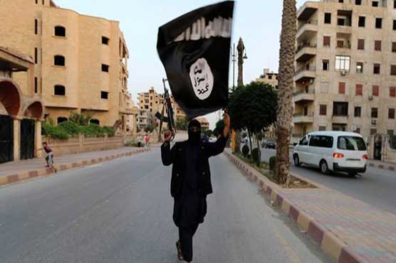 US air strike kills 'IS number two': White House