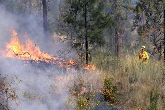Fires in US state of Washington largest in its history