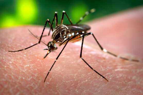 Rawalpindi: 4 cases of dengue confirmed