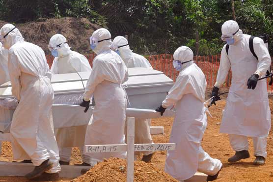 WHO to study use of sanctions as part of global epidemic response 