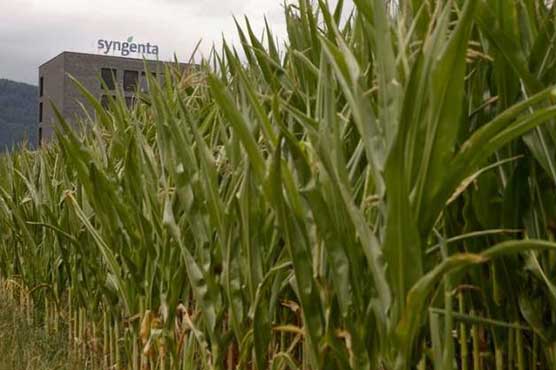 Monsanto, rivals eye next step after Syngenta deal collapse