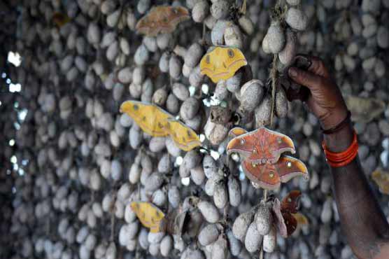 Silk road out of poverty for India's tribal communities