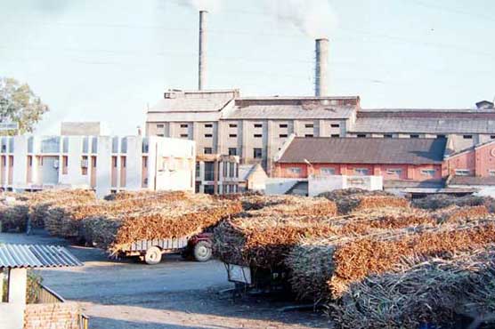 Sugar mills start crushing after govt sets sugarcane price at 180/40 Kg