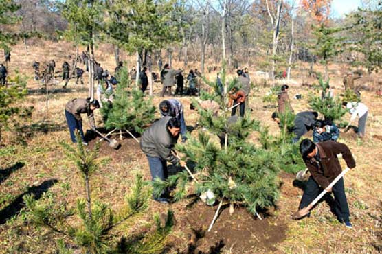 N. Korea 'declares war' on deforestation at Paris climate talks