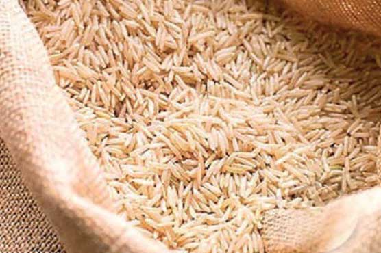 Pakistan to export rice worth USD 40 crore to Indonesia