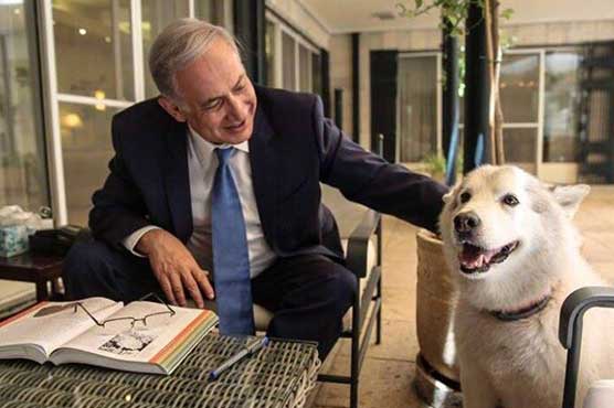 Netanyahu dog quarantined after biting MP, minister