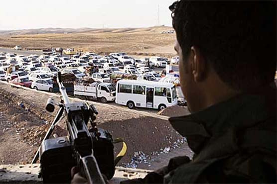 'Unit 732': the French anti-IS volunteers in Iraq