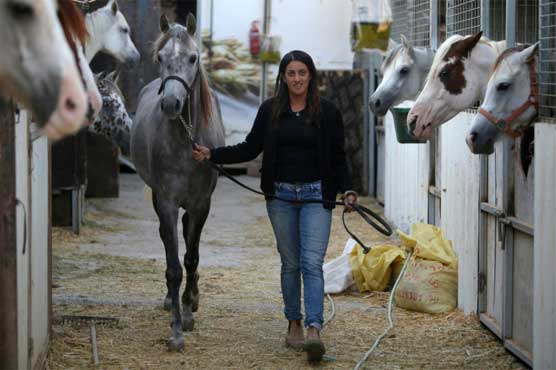 Lone Arab woman takes the reins to tame horses on the Golan 