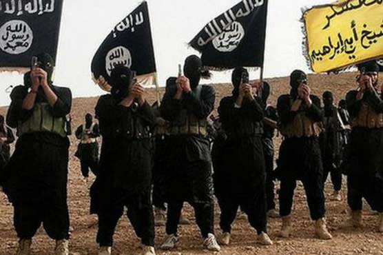 Iraq 'nets 40 IS operatives' in major swoop