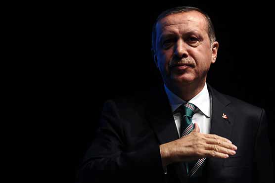Turkey's Erdogan talks man on bridge out of suicide