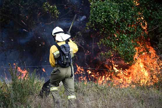 Firefighters battle over 130 wildfires in northern Spain
