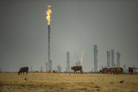 Oil prices subdued in Asia