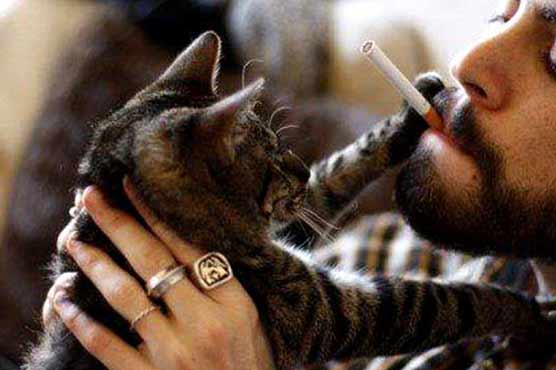 Smoking bad for pets: study