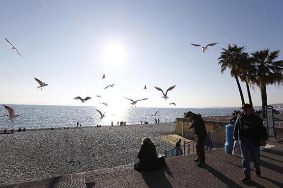 Europe's winter warmth puts nature in a tailspin