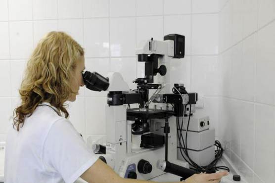 Britain set for historic vote on 'three-parent' babies