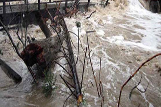 Zimbabwe accused of forcing flood victims into state project