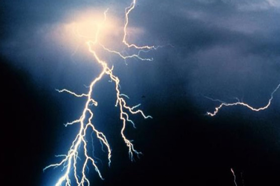 Lightning bolt kills seven in Zimbabwe: report