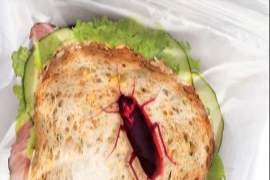 Naveed Qamar enraged as roach encroaches his sandwich