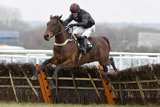 Racing: Legend McCoy to retire at end of season