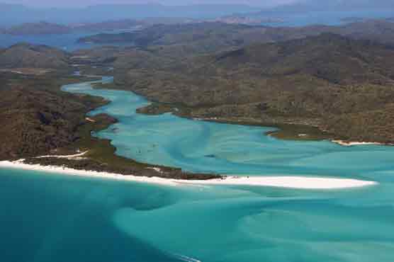 Australia's Barrier Reef 'risks becoming dumping ground': WWF 