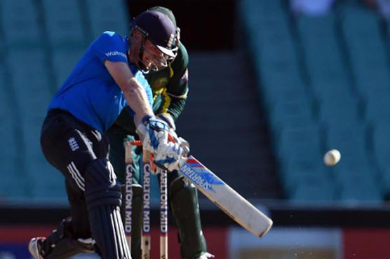 Foreign legion stir national feelings at World Cup