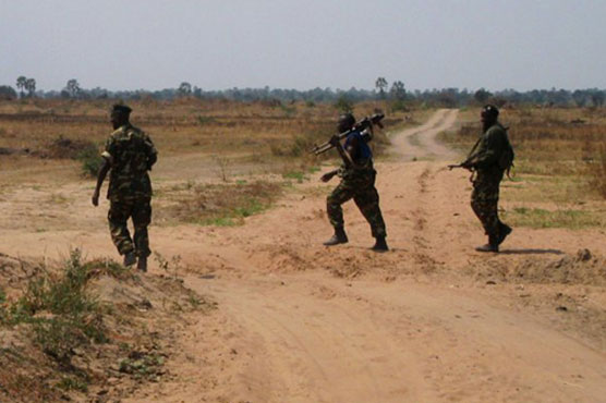 Burundi launches inquiry into reports of rebel executions