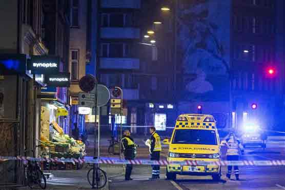 Copenhagen gunman had 'history of violent crime' 