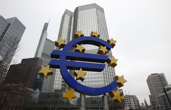 ECB will benefit from US Fed's QE experience: expert