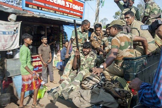 'Man-eating' tiger shot dead in India