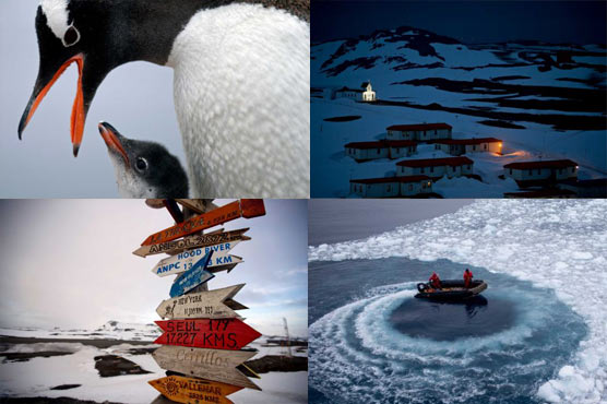 Photos: Antarctica, a window into mankind's future