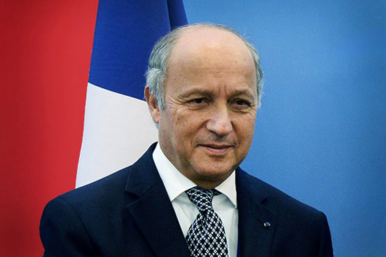 French FM in Africa to show support for Boko Haram fight