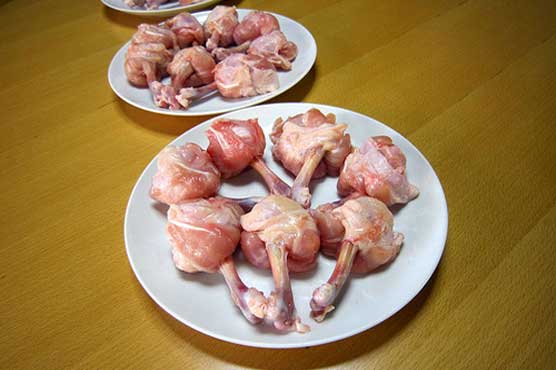 حرام چیزیں گزشتہ کئی سالوں سے پاکستانیوں کو کھلائی جا رہی ہیں