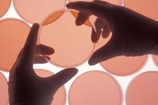 FDA Grants Seven Years' Market Exclusivity to Eagle Pharma's Ryanodex