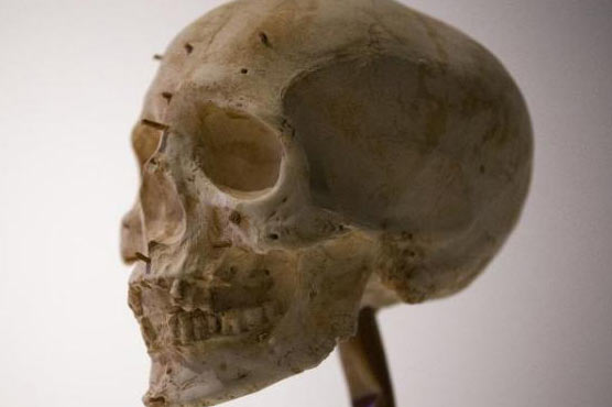 London show dissects history of forensic science