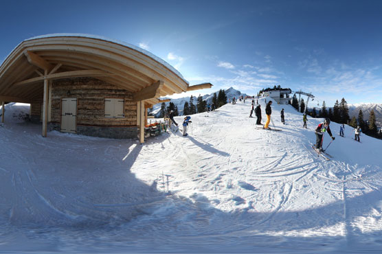 Reichelt leads Austrian World Cup downhill sweep