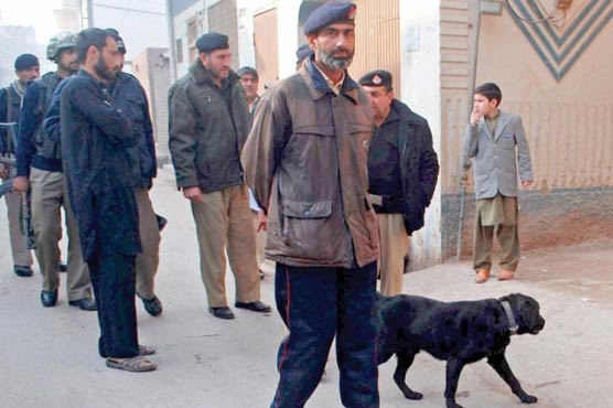 Peshawar: Police detains more than 100 suspects 