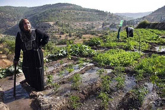 Israel says barrier to spare ancient Palestinian village