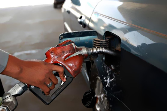 Oil slumps to new lows on supply glut