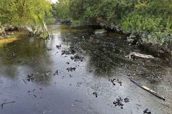 Bangladesh lifts ban on cargo boats after Sundarbans oil spill