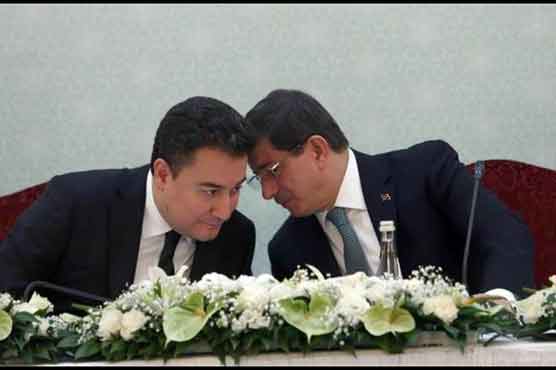 Turkey unveils plan for more babies