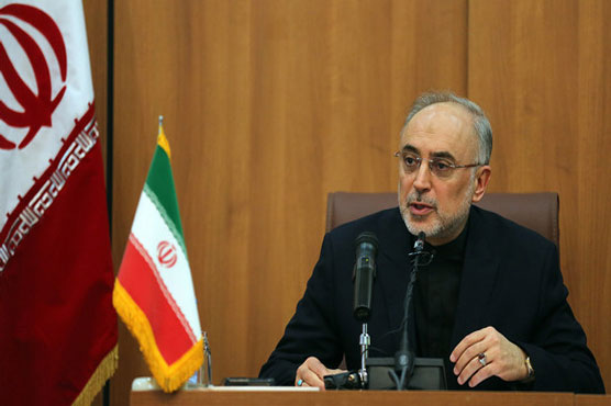 Iran calls for greater Russian role in nuclear talks