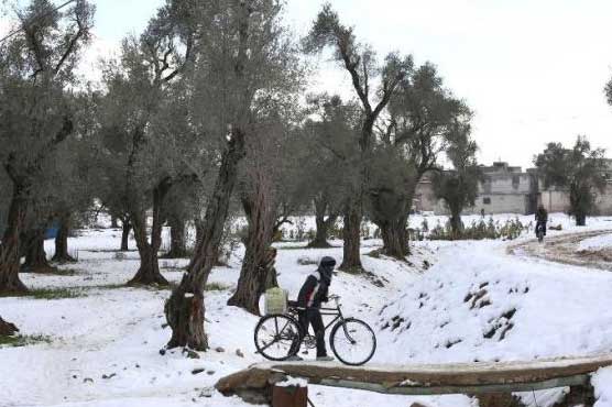 Winter storm death toll hits 11 in Syria: monitor