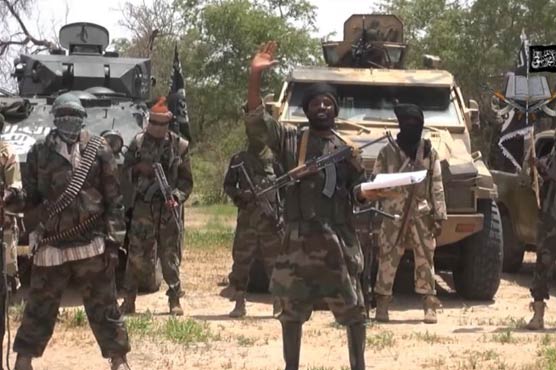 Boko Haram 'killed woman in labour' during attack: Amnesty