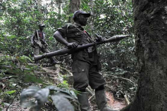 Congo govt says offensive against rebels imminent