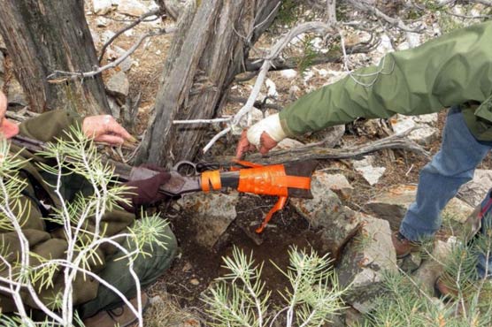 Researchers puzzled by discovery of 1882 Winchester rifle
